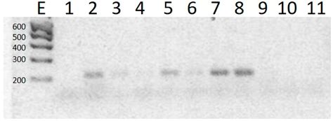 Determination of Chlortetracycline Residues, Antimicrobial Activity and ...