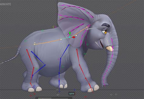 Image result for Cycle Animation Animals