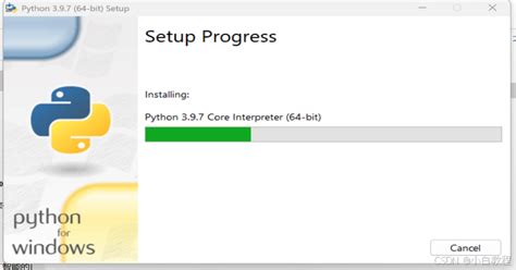 Installing Python 3.9 的图像结果