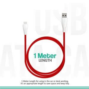 gopi USB Type C Cable 1 m By GopiStore RG320 - gopi : Flipkart.com