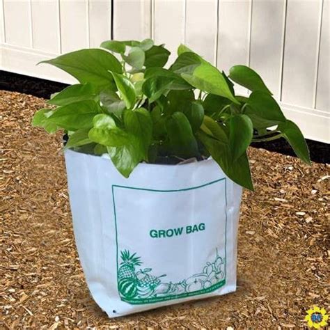COMPOSTABLE GROW BAG – BARODA PACKAGING