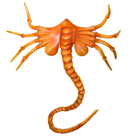 Buy Alien Facehugger Xenomorph PVC Latex Face Hugger Replica y Claws ...