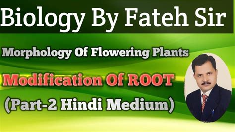 Image result for NEET Root Modification Questions