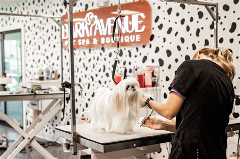 Bark Avenue State of the Art Custom Facility - Bark Avenue | Acadiana ...