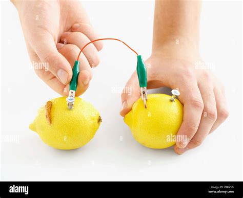 Lemon Battery Experiment Light Bulb Lemon Battery