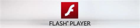 Image result for Flash Player Test 2012