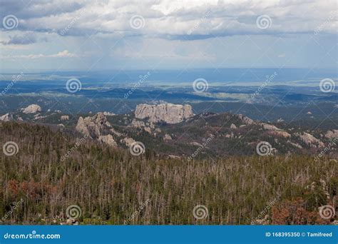The Back Side of Mount Rushmore Stock Photo - Image of parking, green ...