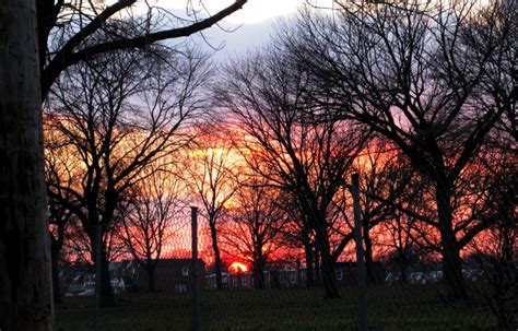 Handbag Code Roblox 的图像结果