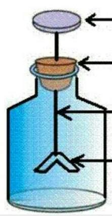 What is the drawing of an simple electroscope - Brainly.in