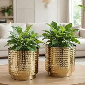 BEHOMA Metal Hammered Golden Mini Table top Planter for Home Decoration ...