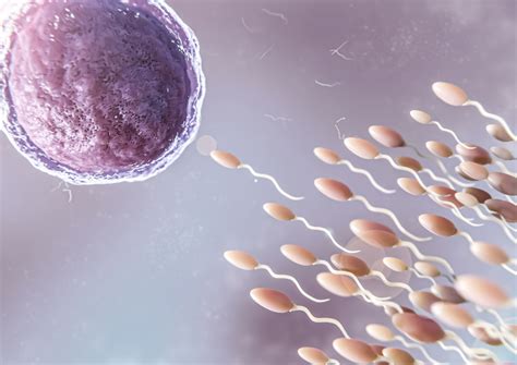 How to Improve Egg Quality in Women - KJK Hospital