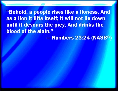 Numbers 23:24 Behold, the people shall rise up as a great lion, and ...
