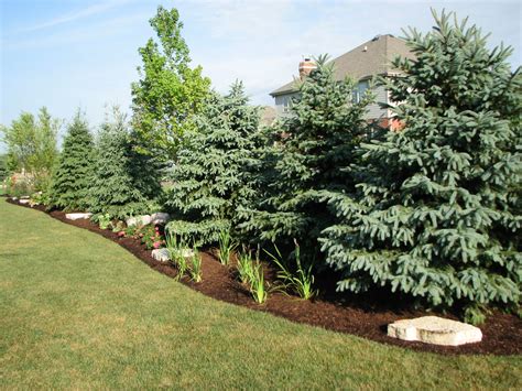 Privacy Landscaping Ideas Front Yard