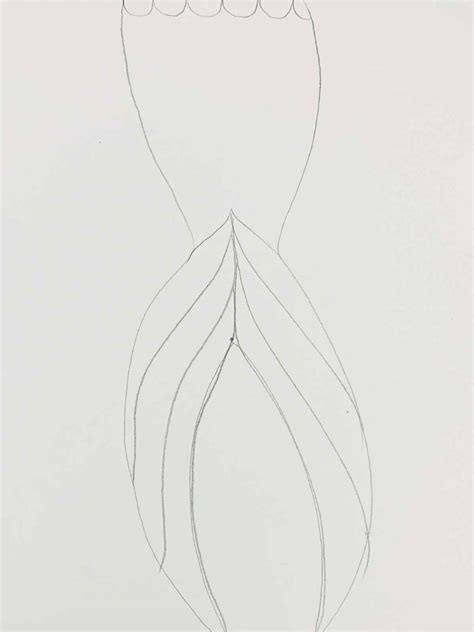 How To Draw Mermaid Tail Scales Mermaids Tail PNG Image, Mermaid Tail
