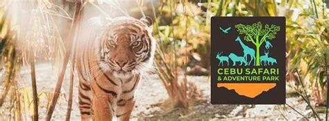Cebu Safari and Adventure Park Tour with Entrance Ticket, African ...