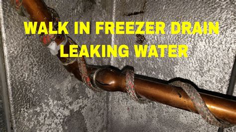 Freezer Leaking 的图像结果