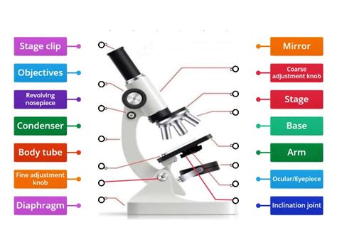 Microscope Label Diagram 的图像结果