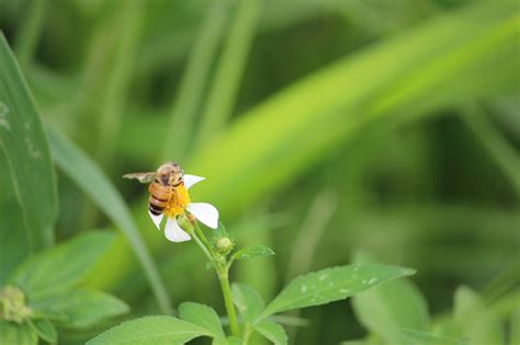 Image result for Photoshop Help