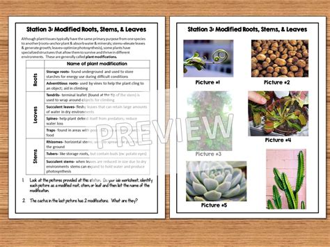 Image result for Plant Science Class U of S Lab Help