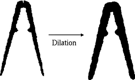 Image result for Dilation Example