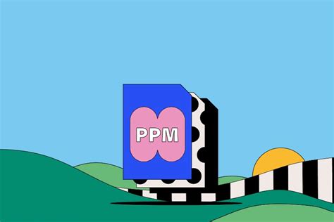 Image result for PPM File