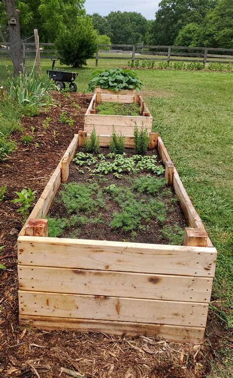 7 Stunning Raised Garden Bed Photos & Ideas