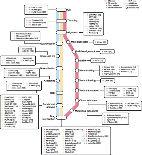 Image result for Bioinformatics RoadMap