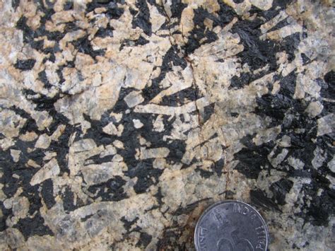 Earth Sciences | IIEST