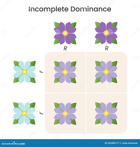 Image result for Incomplete Dominance Examples