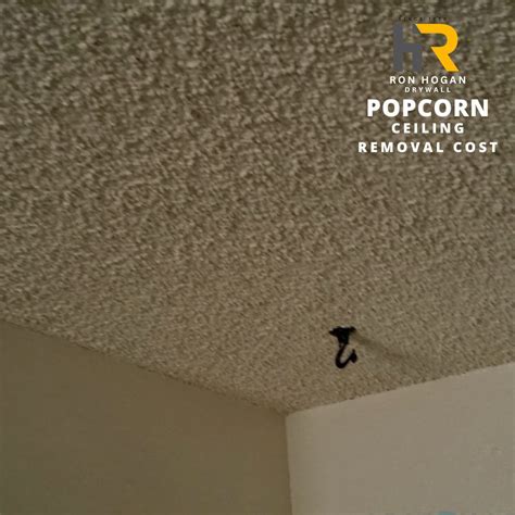 How Much Does It Cost To Remove Popcorn Ceilings With Asbestos | Shelly ...