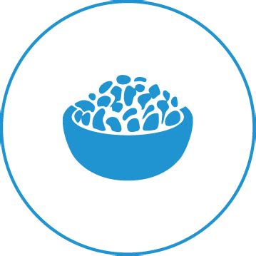 Meteoric Vet Sciences