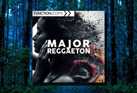Function Loops Major Reggaeton WAV-MIDI | SOLOSAMPLES
