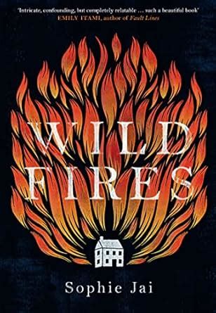 Buy Wild Fires: The most powerful and unmissable literary debut of 2022 ...