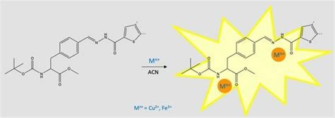 New Amino Acid-Based Thiosemicarbazones and Hydrazones: Synthesis and ...