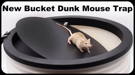 Image result for Mouse Bucket Device