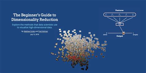 Dimensionality Reduction Tutorial 的图像结果