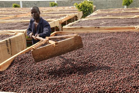 Exports Of Uganda