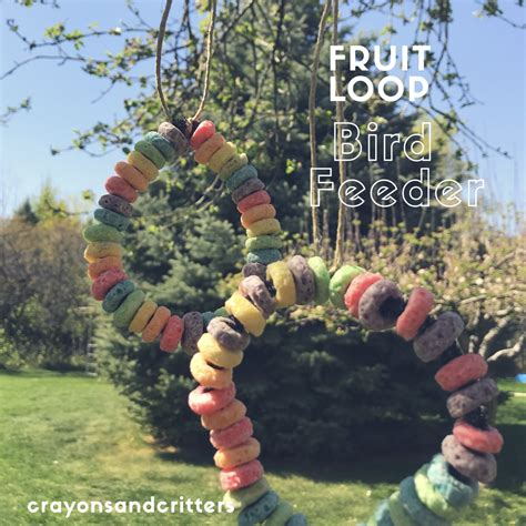 Crayons and Critters: DIY Fruit Loop Bird Feeder!