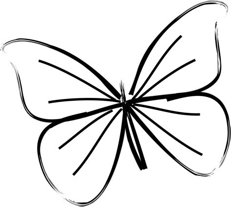 butterfly drawing easy cute