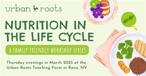 Nutrition in the Life Cycle , Urban Roots, Reno, March 2 2023 ...