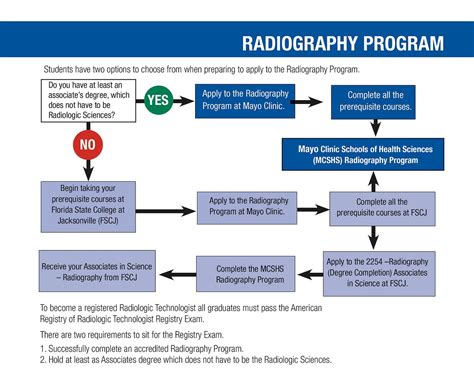 Difference between Radiology And Ultrasound: Key Distinctions Explained ...
