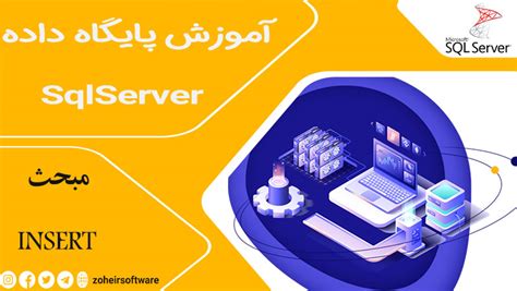 Insert Record SQL 的图像结果