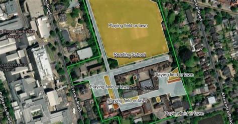 Image result for TreeMap School