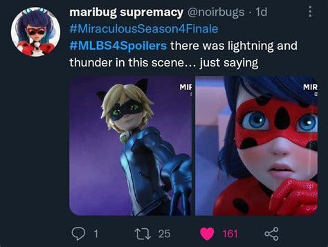 Image result for Ladybug Strike Back Part 7