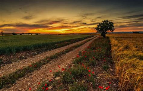 Download wallpaper road, sunset, Maki, section landscapes in resolution ...