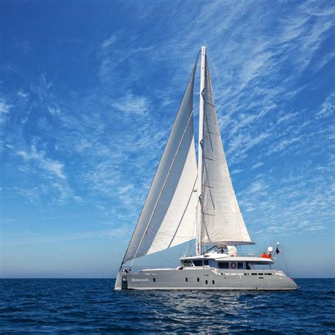 DIVING SCHOOL TEAM NIKOLAEV (2025) All You Need to Know BEFORE You Go ...