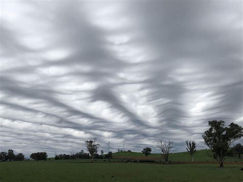 Beautiful undulatus asperatus clouds seen in Australia - The Washington ...