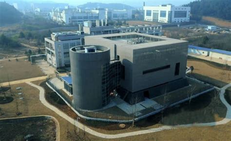 中国某顶级神秘实验室开建，将吸引国外顶尖科学家来中国工作！