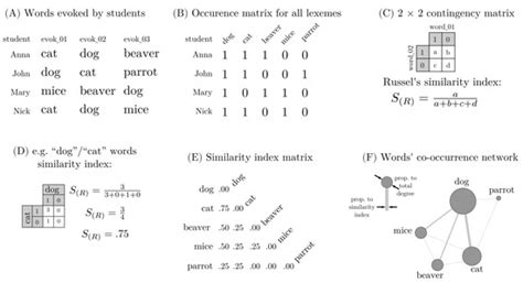 Between Social and Semantic Networks: A Case Study on Classroom Complexity
