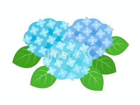 vs Code.html Not Calling JavaScript 的图像结果